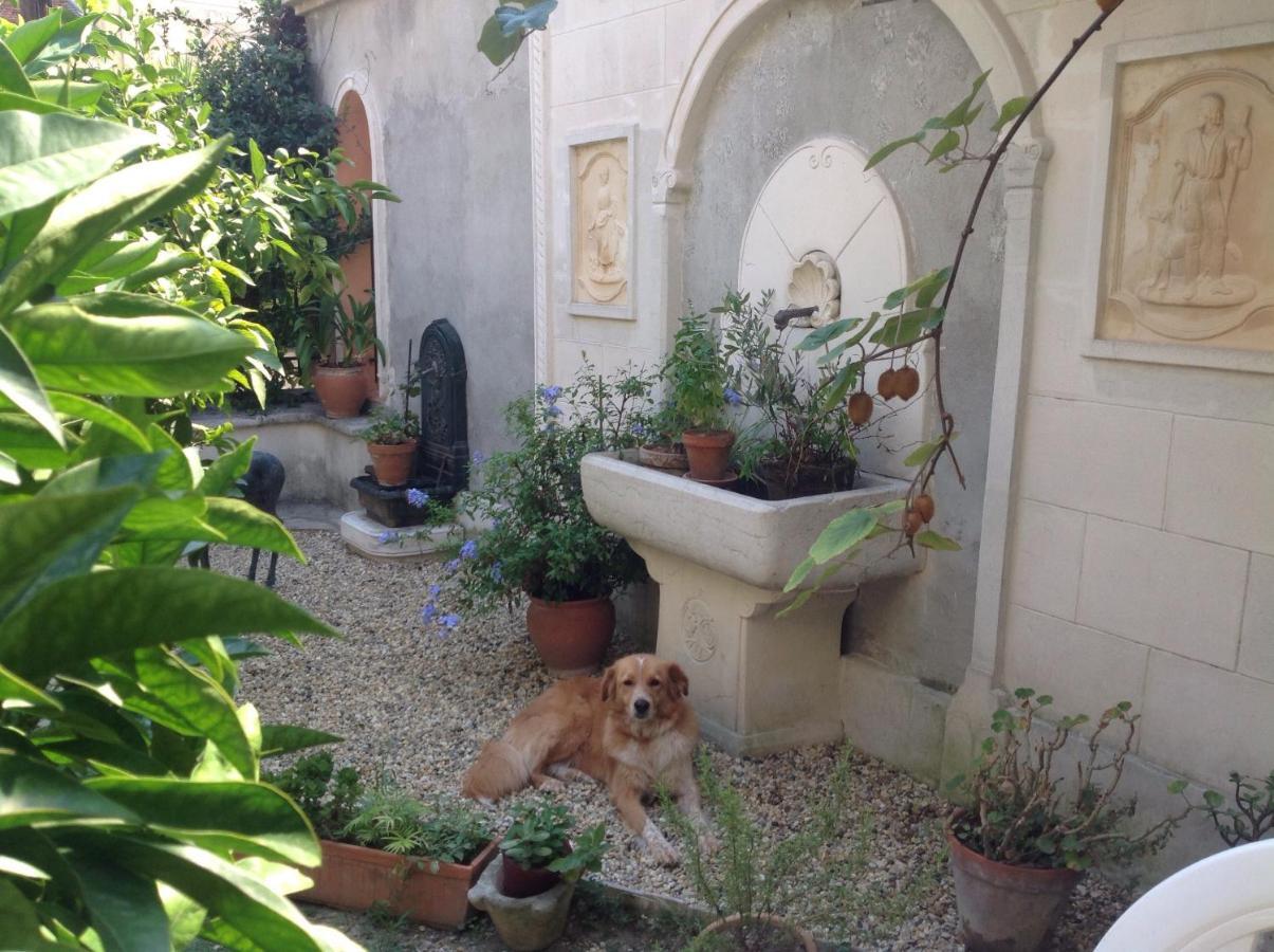 Appartement Tout Confort Avec Terrasse نيس المظهر الخارجي الصورة